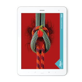 Sexo – PDF